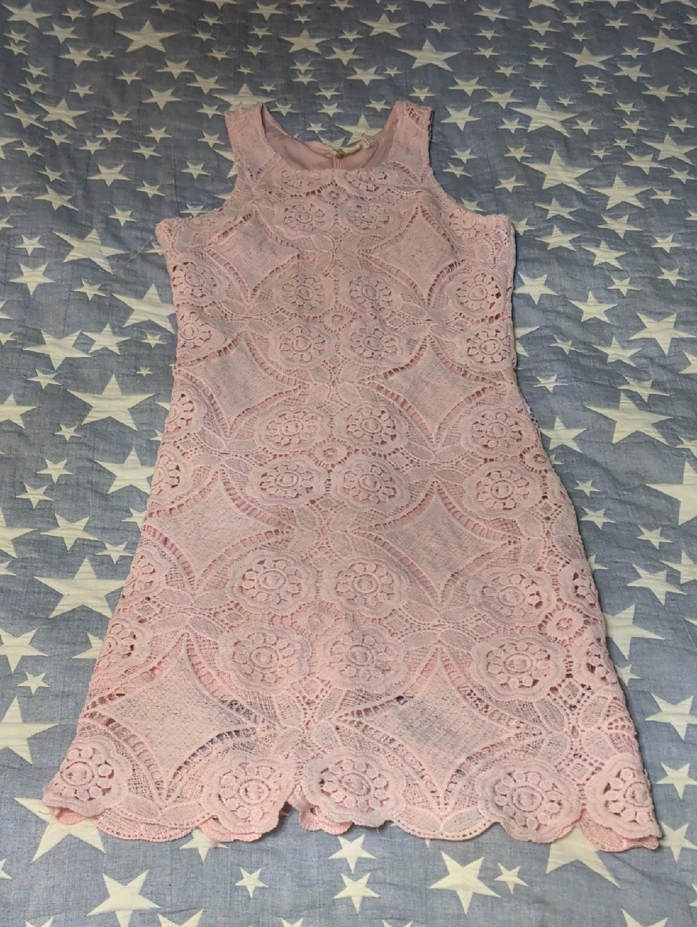 Beautiful Pale Pink Lace Dress XS Japna Brand